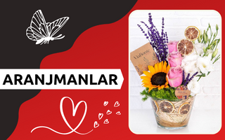 aranjmanlar